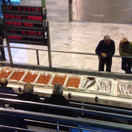 la Lonja de Garrucha